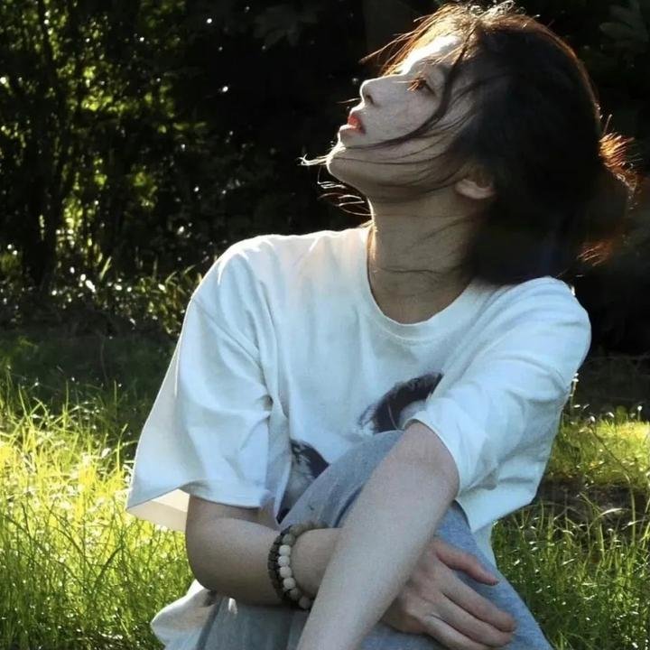 孤鸟罗宾